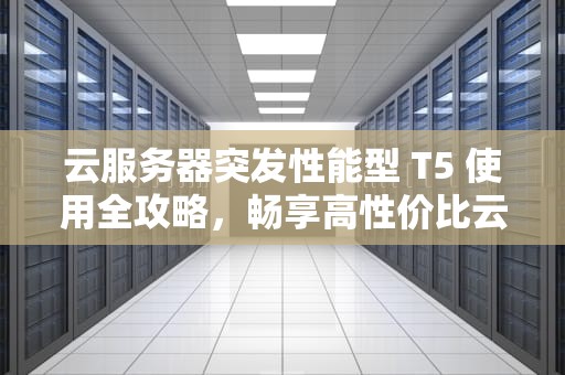 云服务器突发性能型 T5 使用全攻略，畅享高性价比云计算资源