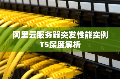 阿里云服务器突发性能实例T5深度解析
