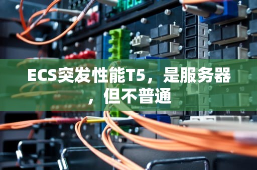 ECS突发性能T5，是服务器，但不普通