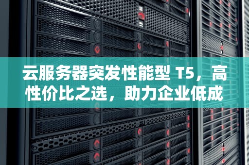 云服务器突发性能型 T5，高性价比之选，助力企业低成本上云