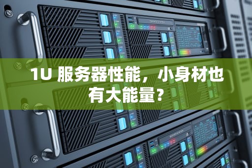 1U 服务器性能，小身材也有大能量？