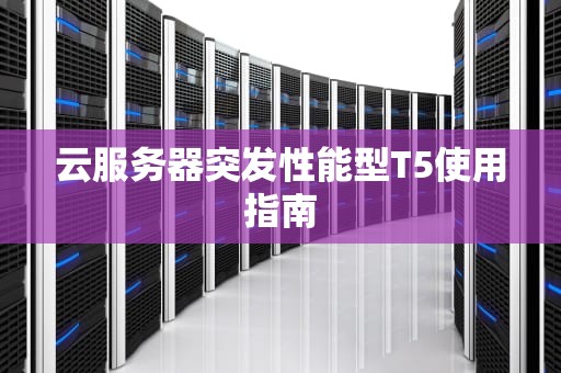 云服务器突发性能型T5使用指南