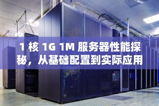 1 核 1G 1M 服务器性能探秘，从基础配置到实际应用