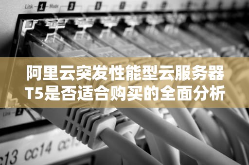 阿里云突发性能型云服务器T5是否适合购买的全面分析