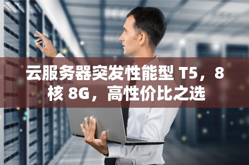 云服务器突发性能型 T5，8 核 8G，高性价比之选