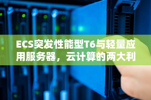 ECS突发性能型T6与轻量应用服务器，云计算的两大利器