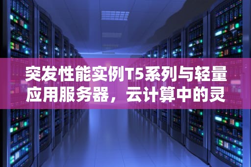 突发性能实例T5系列与轻量应用服务器，云计算中的灵活选择