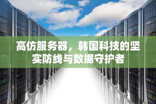 高仿服务器，韩国科技的坚实防线与数据守护者