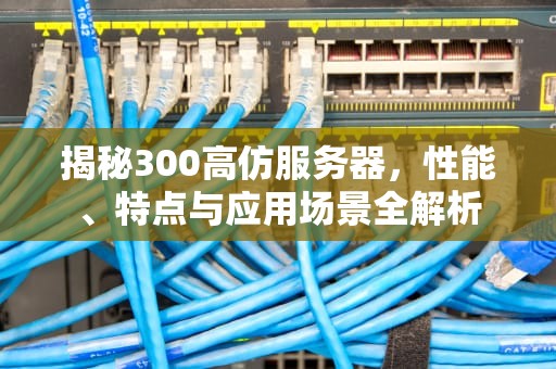 揭秘300高仿服务器，性能、特点与应用场景全解析