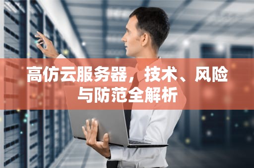 高仿云服务器，技术、风险与防范全解析
