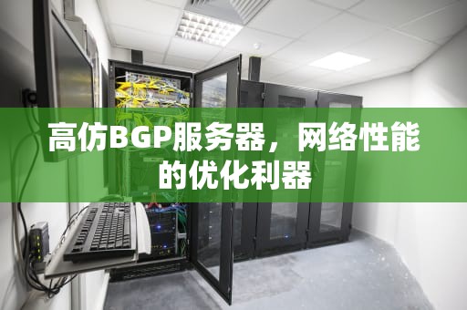 高仿BGP服务器，网络性能的优化利器