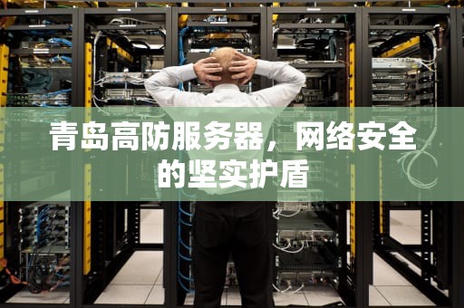 青岛高防服务器，网络安全的坚实护盾
