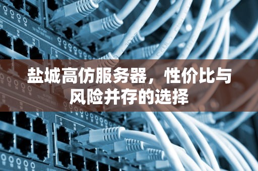盐城高仿服务器，性价比与风险并存的选择