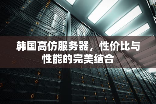 韩国高仿服务器，性价比与性能的完美结合