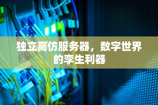 独立高仿服务器，数字世界的孪生利器