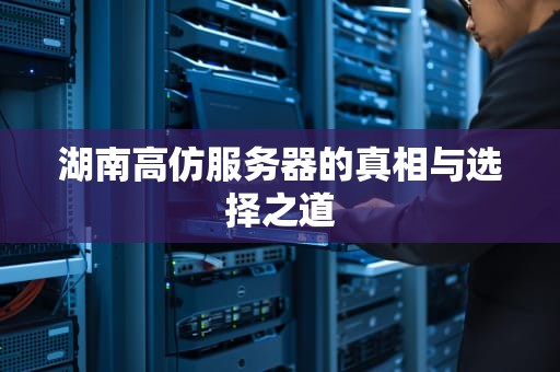 湖南高仿服务器的真相与选择之道