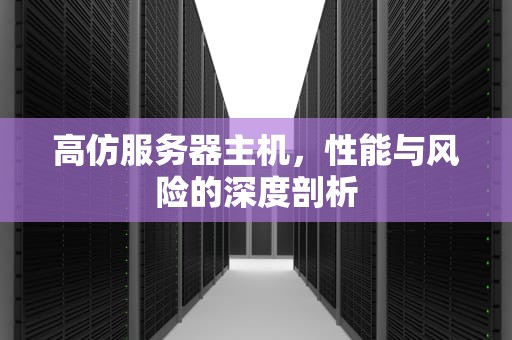 高仿服务器主机，性能与风险的深度剖析