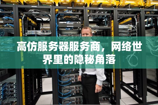 高仿服务器服务商，网络世界里的隐秘角落