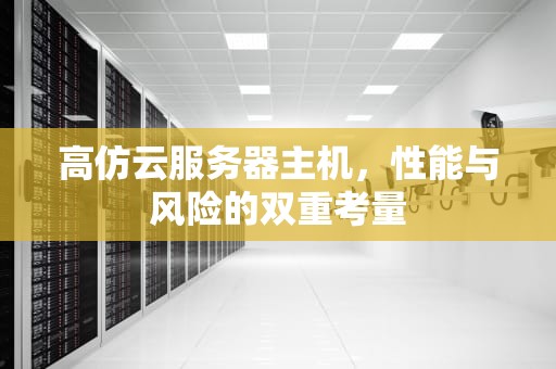 高仿云服务器主机，性能与风险的双重考量