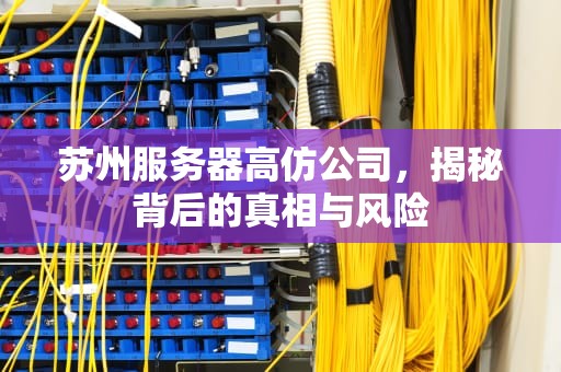 苏州服务器高仿公司，揭秘背后的真相与风险