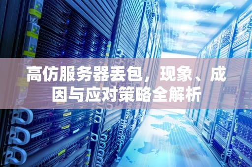 高仿服务器丢包，现象、成因与应对策略全解析