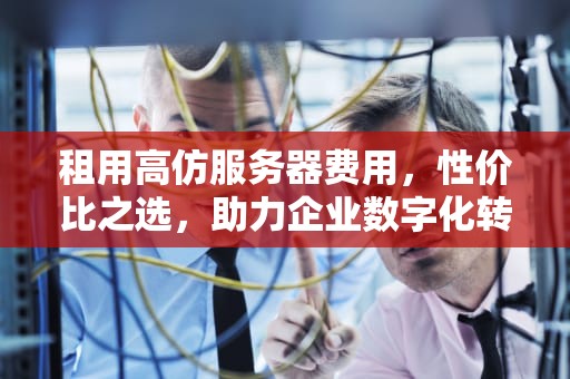 租用高仿服务器费用，性价比之选，助力企业数字化转型