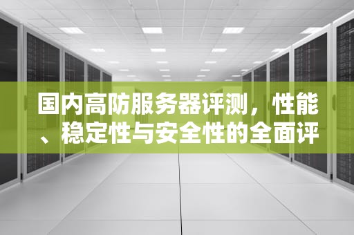 国内高防服务器评测，性能、稳定性与安全性的全面评估
