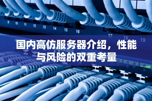 国内高仿服务器介绍，性能与风险的双重考量
