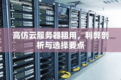 高仿云服务器租用，利弊剖析与选择要点