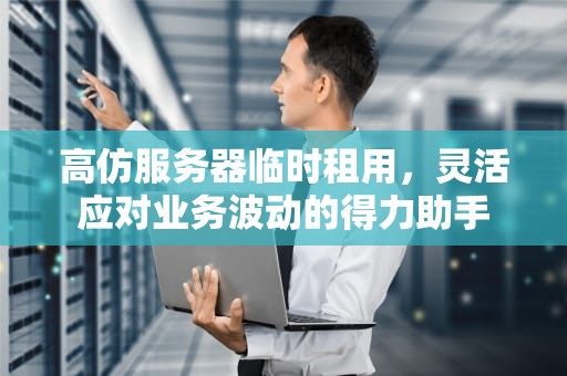 高仿服务器临时租用，灵活应对业务波动的得力助手