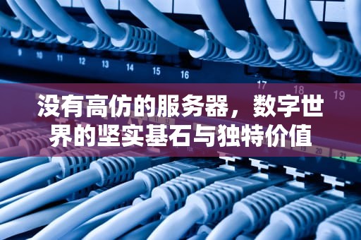 没有高仿的服务器，数字世界的坚实基石与独特价值