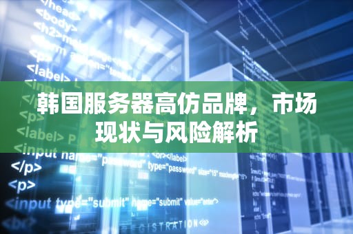 韩国服务器高仿品牌，市场现状与风险解析