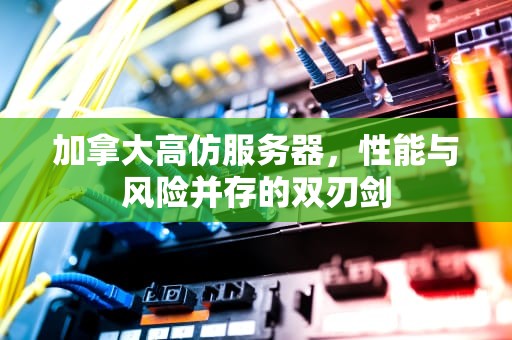 加拿大高仿服务器，性能与风险并存的双刃剑
