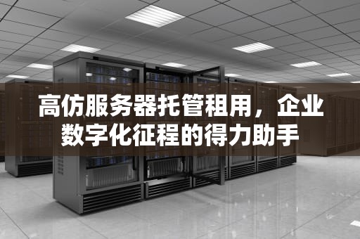 高仿服务器托管租用，企业数字化征程的得力助手