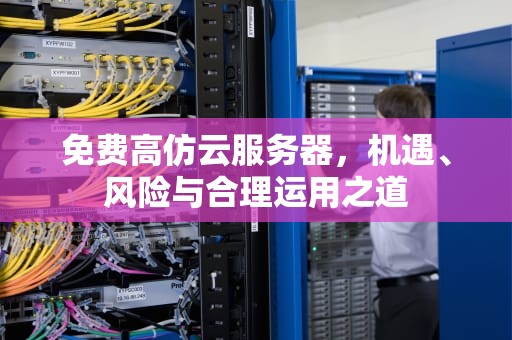 免费高仿云服务器，机遇、风险与合理运用之道