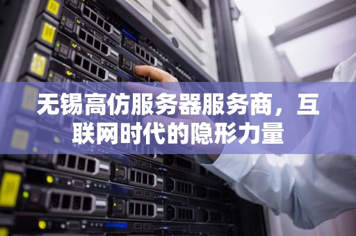 无锡高仿服务器服务商，互联网时代的隐形力量