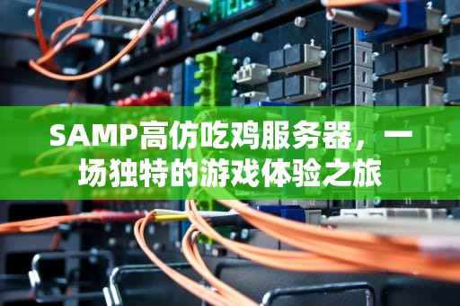 SAMP高仿吃鸡服务器，一场独特的游戏体验之旅