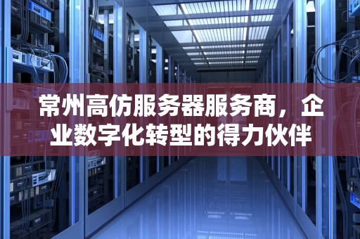 常州高仿服务器服务商，企业数字化转型的得力伙伴