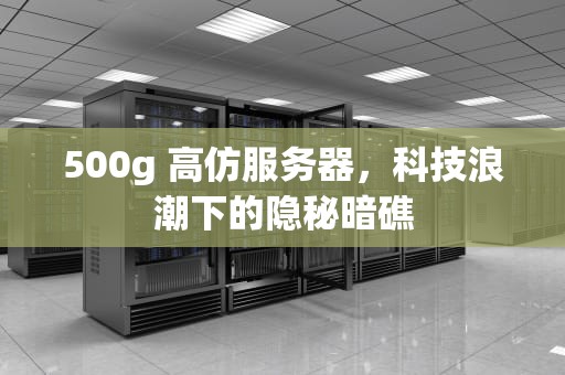 500g 高仿服务器，科技浪潮下的隐秘暗礁