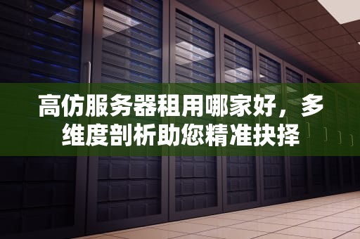 高仿服务器租用哪家好，多维度剖析助您精准抉择