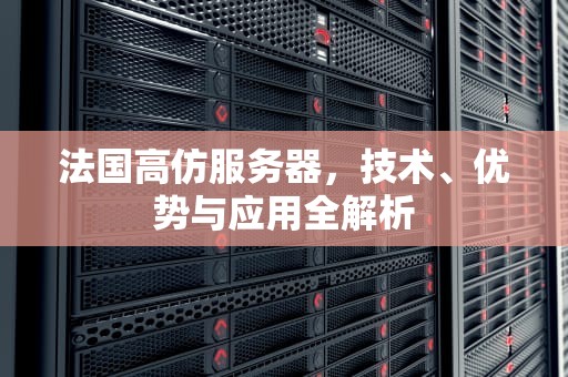 法国高仿服务器，技术、优势与应用全解析