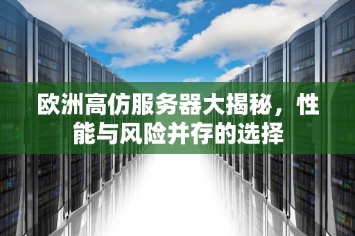 欧洲高仿服务器大揭秘，性能与风险并存的选择