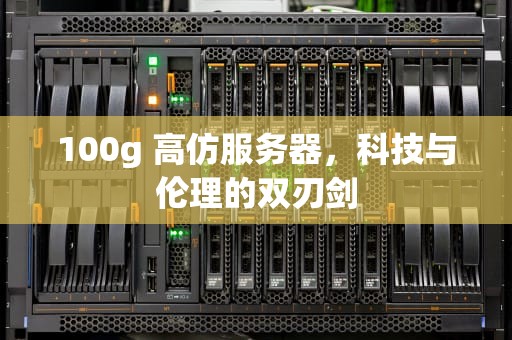 100g 高仿服务器，科技与伦理的双刃剑