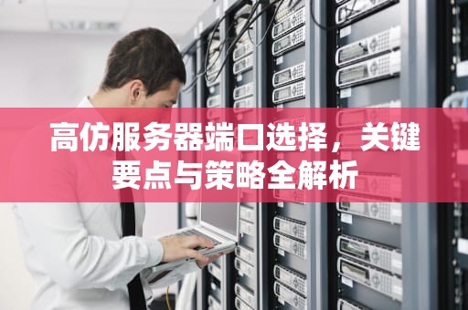 高仿服务器端口选择，关键要点与策略全解析