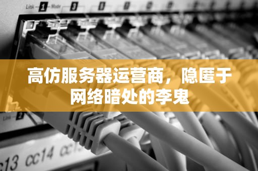 高仿服务器运营商，隐匿于网络暗处的李鬼