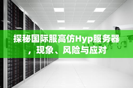 探秘国际服高仿Hyp服务器，现象、风险与应对
