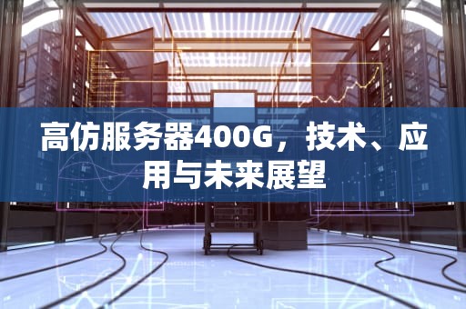 高仿服务器400G，技术、应用与未来展望