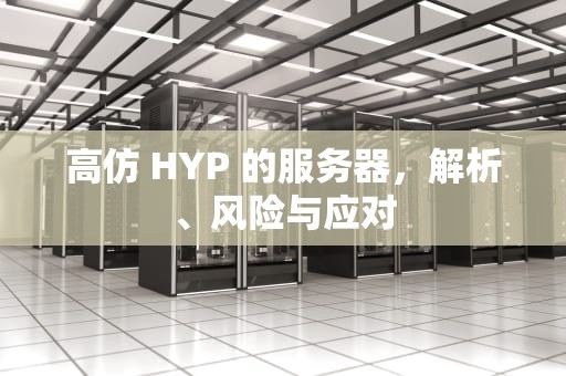 高仿 HYP 的服务器，解析、风险与应对