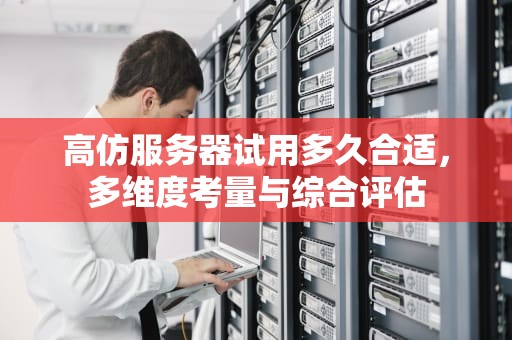 高仿服务器试用多久合适，多维度考量与综合评估