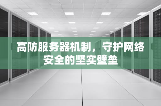 高防服务器机制，守护网络安全的坚实壁垒